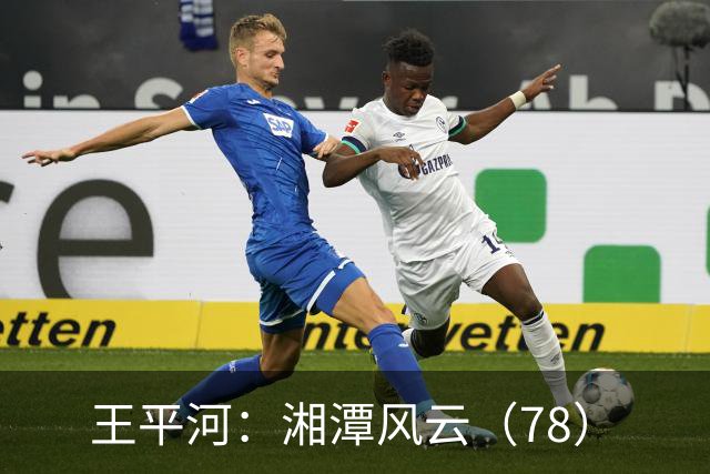 王平河：湘潭风云（7/8）